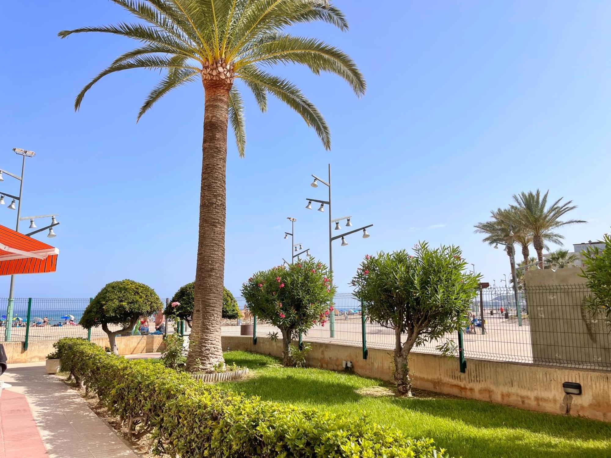 Апартаменты Mediterranean Way - Paradis Playa Ла-Пинеда Экстерьер фото
